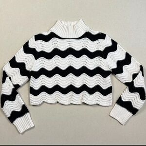 Zara Women’s Size M Chenille Knitted Striped Turtle Sweater Chevron Knit Crop